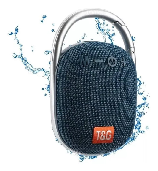 RADIO PARLANTE USB RECARGABLE T&G TG-321